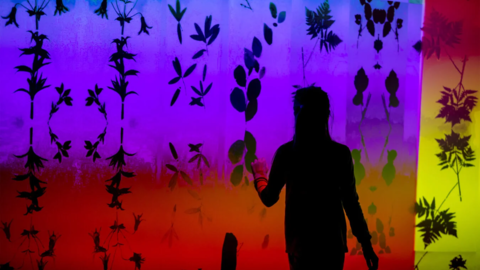 A silhouette appears on a rainbow-color background with outlines of flowers.
