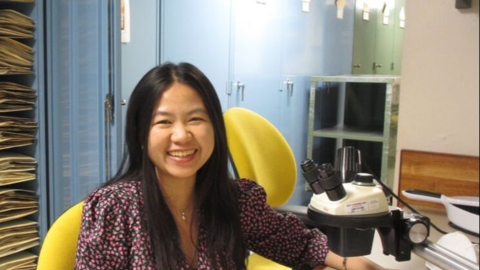 Liming smiles and sits behind a table with herbarium specimens.
