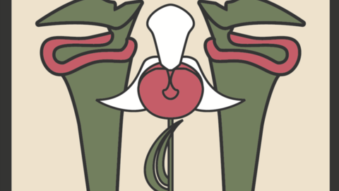 In Defense of Plants