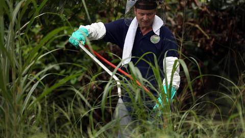Pesticides, Pruitt and a plea for biodiversity