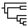a phylogenetic tree