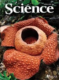 2007 Science 315