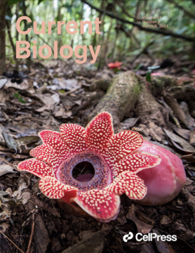 Current Biology Cover 2021