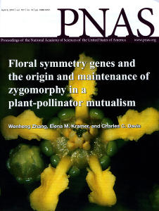 Zhang et al PNAS Cover 2010