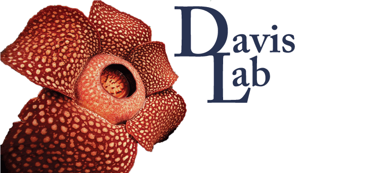 Davis Lab