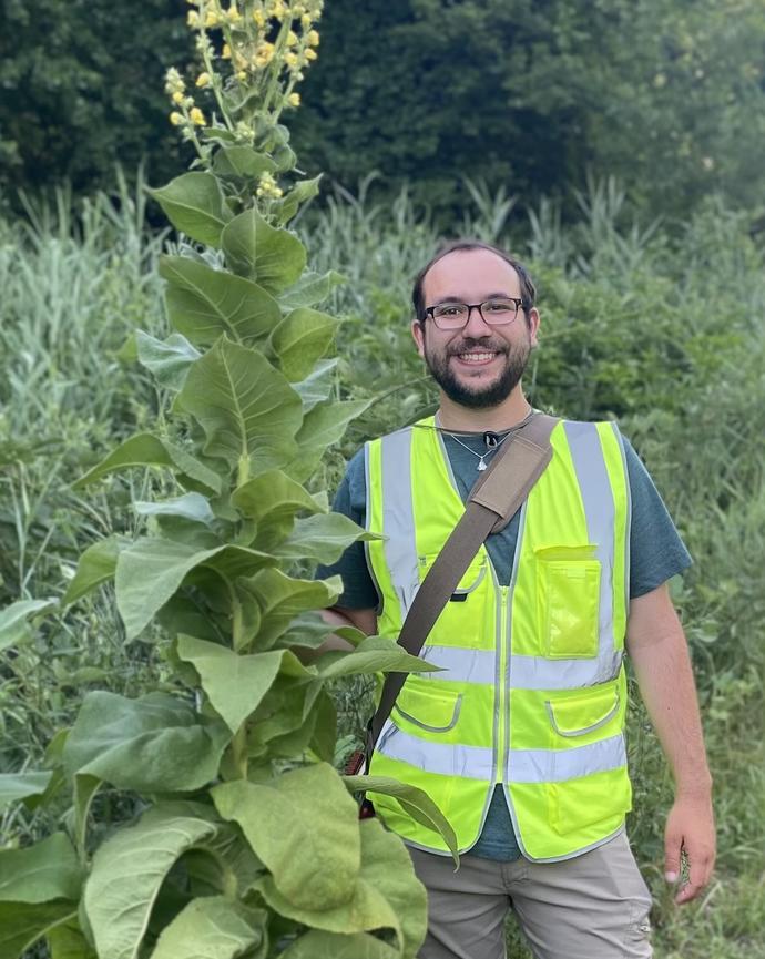 Ryan Schmidt, a man wearing a construction vest, stands next to a tall Verbascum plant in flower, smiling